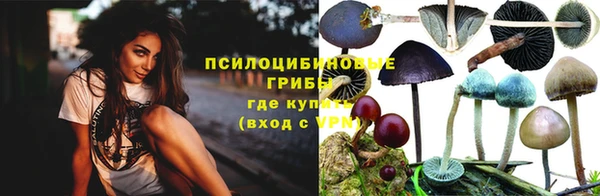 PSILOCYBIN Алексеевка