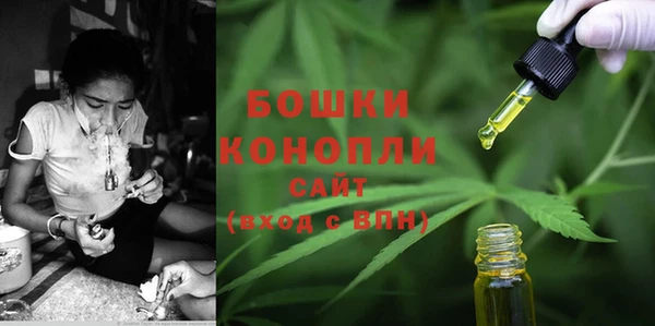 PSILOCYBIN Алексеевка